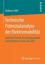 Technische Potenzialanalyse Der Elektromobilitat