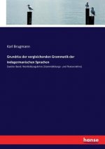 Grundriss der vergleichenden Grammatik der indogermanischen Sprachen