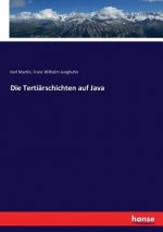 Tertiarschichten auf Java