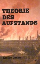 Theorie des Aufstands