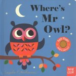 Where's Mr Owl?
