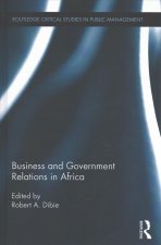 Business and Government Relations in Africa