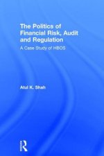 Politics of Financial Risk, Audit and Regulation