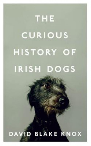 Curious History of Irish Dogs