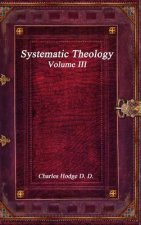 Systematic Theology Volume III