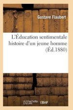 L'Education Sentimentale Histoire d'Un Jeune Homme