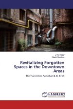 Revitalizing Forgotten Spaces in the Downtown Areas