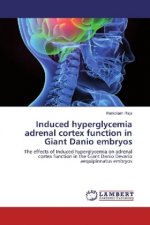 Induced hyperglycemia adrenal cortex function in Giant Danio embryos