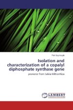 Isolation and characterization of a copalyl diphosphate synthase gene