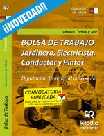 Bolsa de Trabajo. Jardinero, Electricista, Conductor Y Pintor. Diputación Provincial de Toledo. Temario común y Test