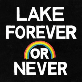 Forever Or Never