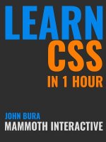 Learn CSS in 1 Hour