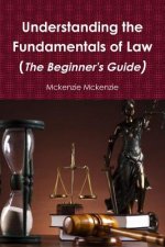 Understanding the Fundamentals of Law (the Beginner's Guide)