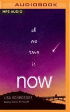 ALL WE HAVE IS NOW           M