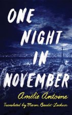 One Night in November