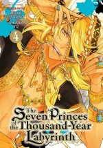 Seven Princes of the Thousand-Year Labyrinth