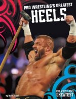 PRO WRESTLINGS GREATEST HEELS