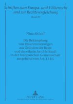 Die Bekaempfung von Diskriminierungen aus Gruenden der Rasse und der ethnischen Herkunft in der Europaeischen Gemeinschaft ausgehend von Art. 13 EG