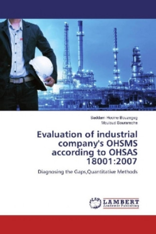 Evaluation of industrial company's OHSMS according to OHSAS 18001:2007