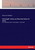Schwarzgelb - Roman aus OEsterreichs letzten 12 Jahren