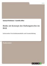 Risiko als Konzept des Haftungsrechts im BGB