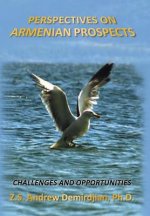 Perspectives on Armenian Prospects