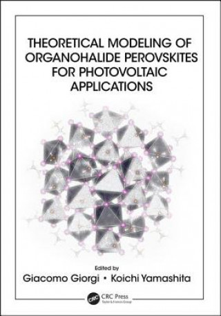 Theoretical Modeling of Organohalide Perovskites for Photovoltaic Applications