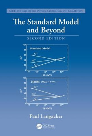 Standard Model and Beyond