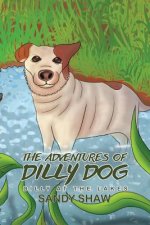 Adventures of Dilly Dog: Dilly at the Lakes
