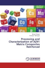 Processing and Characterization of AZ91 Matrix Composites Reinforced