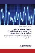 Sound Absorption Coefficient and Young's Modulus of Concrete
