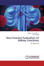 Non-Invasive Evaluation of Kidney Functions
