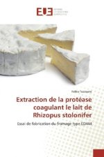 Extraction de la protéase coagulant le lait de Rhizopus stolonifer