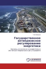 Gosudarstvennoe antikrizisnoe regulirovanie jenergetiki