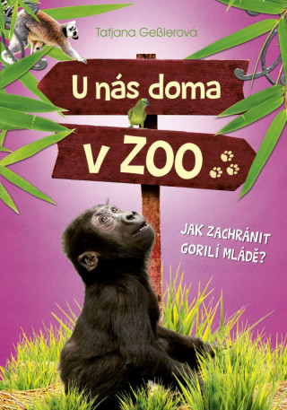 U nás doma v ZOO Jak zachránit gorilí mládě?