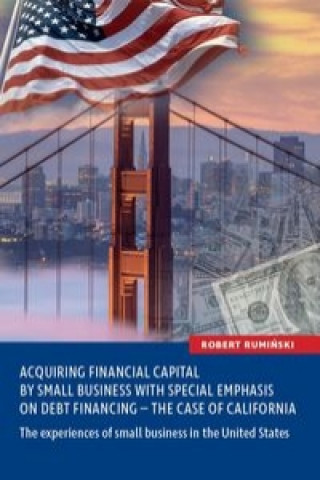 Acquiring financial capital by small business with special emphasis on debt financing - the case of