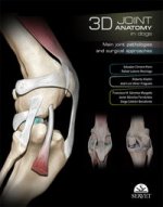 3D JOINT ANATOMY IN DOGS MAIN JOINT PATH