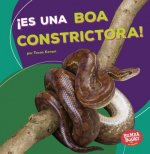 ?Es Una Boa Constrictora! (It's a Boa Constrictor!)
