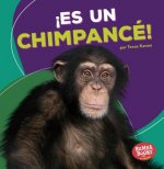 ?Es Un Chimpancé! (It's a Chimpanzee!)