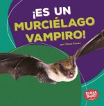 ?Es Un Murciélago Vampiro! (It's a Vampire Bat!)