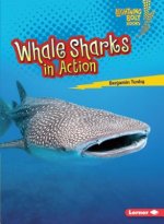 Whale Sharks in Action