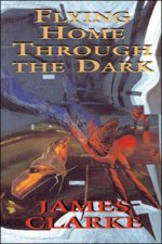 Flying Home Through The Dark