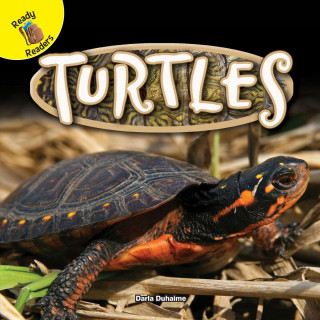 TURTLES