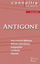 Fiche de lecture Antigone de Sophocle (Analyse litteraire de reference et resume complet)