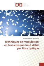 Techniques de modulation en transmission haut débit par fibre optique