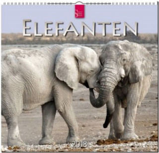 Elefanten 2018 Mittelformat-Kalender