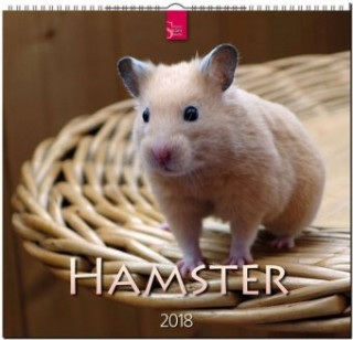 Hamster 2018