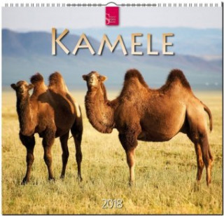 Kamele 2018