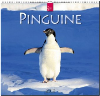 Pinguine 2018