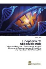 Lipophilisierte Oligonucleotide